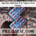 Ajantas Stamina For Vigour And Vitality 05